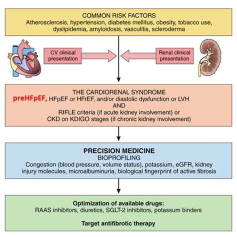 Pathophysiological Pathways Involved In Right Heart Dysfunction Rhd