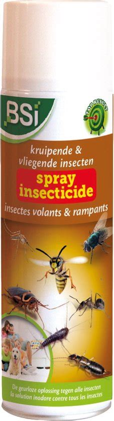 Bsi Spray Insecticide Contre Les Insectes Volants Et Rampants 500 Ml