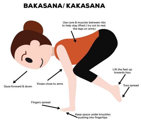 Sep 07, 2018 · being a vegetarian is not a good idea for your health if you are not taking proper diet. Bakasana Images / Bakasana Crane Pose Benefits ...