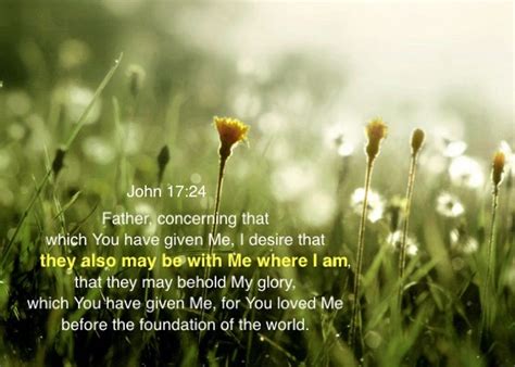 John 1724 Father Concerning That Which You Have Given Me I Desire