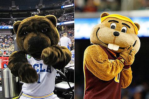 The two costumed bear mascots are specifically known as joe bruin and josephine bruin. the university had a real bear cub named little joe brown back in the 50s. 'Joe Bruin' of UCLA vs. 'Goldy Gopher' of Minnesota — March Mascot Madness