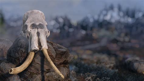 Mammoth Skull At Skyrim Special Edition Nexus Mods And Community