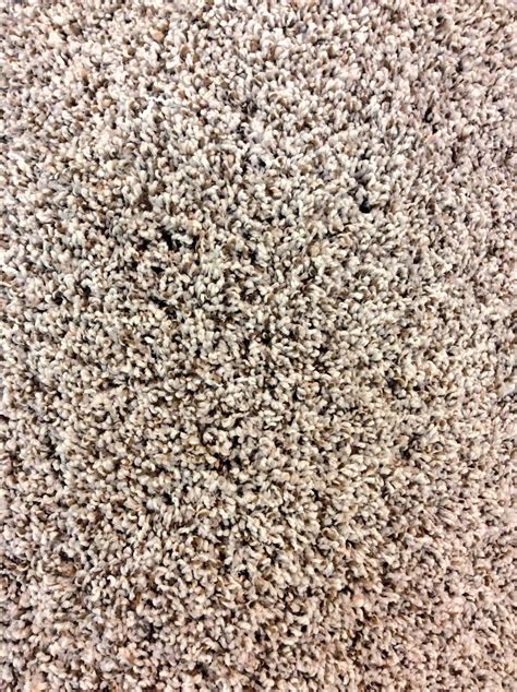 Speckled Carpet Is Made For Those Who Cant Just Pick One Color