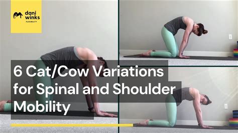 Cat Cow Variations For Spinal And Shoulder Mobility Youtube