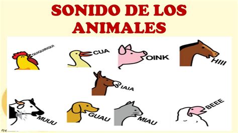Onomatopeya Del Caballo Sonidos Onomatopeyicos De Los Animales