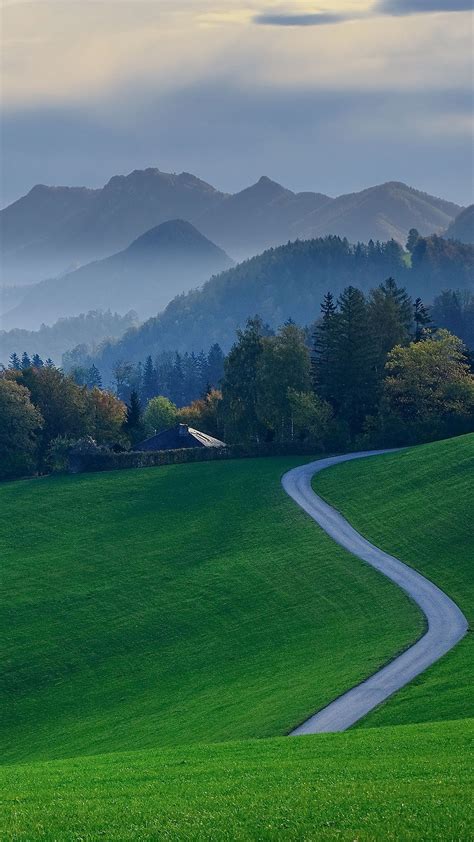 Forest And Mountain With Green Grass Field And Road In Background Of