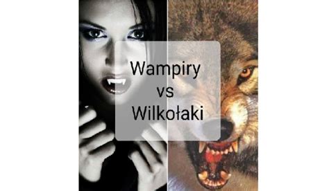 wampiry vs wilkołaki 6 samequizy