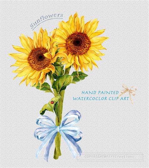 Sunflower Watercolor Clipart Rustic Fall Flower Vibrant | Etsy