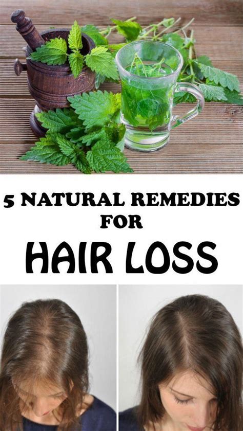 5 Natural Remedies For Hair Loss Hairlosstreatment Hairlossremedywomen Naturalhairlossr