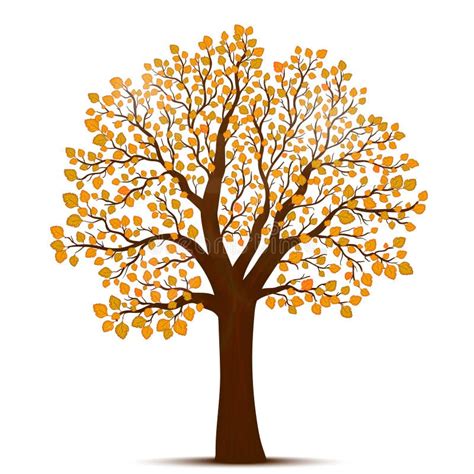 Autumn Tree Vector Stock Vector Illustration Of Plant 65471781