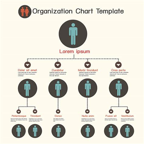 Best Organization Chart Illustrations Royalty Free Vector Graphics