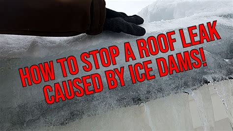 Ice Dams How To Stop A Roof Leak With Roof Melt Youtube