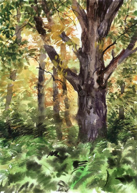 Autumn Forest Stock Illustration Illustration Of Black 28412716