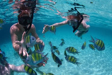Bali Best Snorkeling At Blue Lagoon And East Bali Tours Triphobo