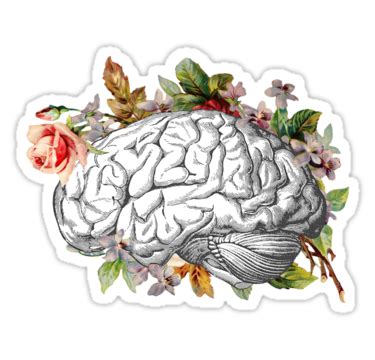 Pegatinas Cerebro Con Flores De Laineregen Redbubble Stickers Cool