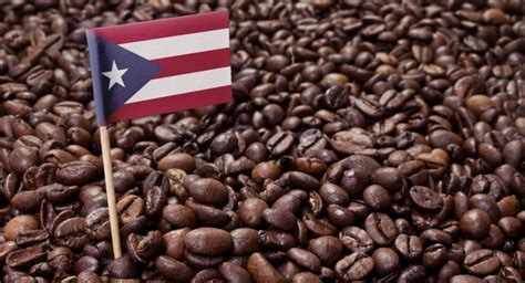 the best 5 puerto rican coffee brands plus buying tips drinkstack