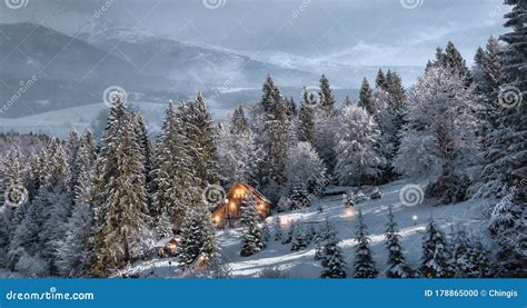 Winter Forest In The Carpathians Western Ukraine Stock Photo Image