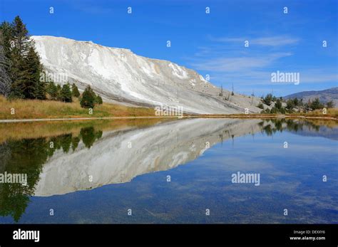 Travertine Sinter Terrace Canary Spring Mirrored In A Lake Mammoth