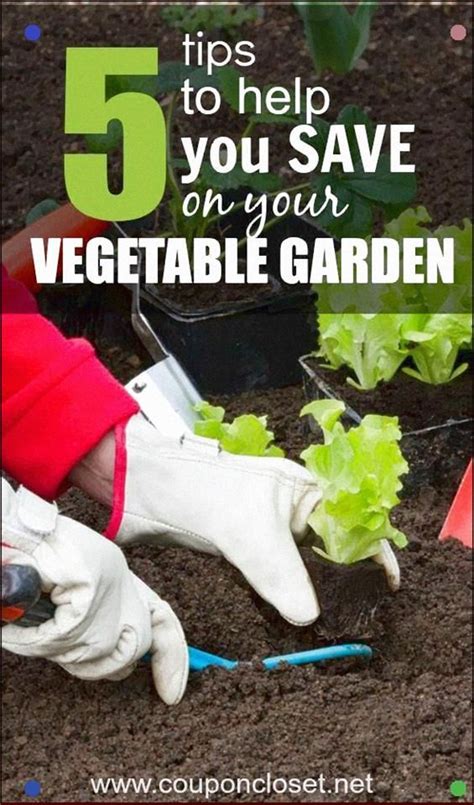 Here Are Some Easy Tips To Help You With Frugal Gardening With These 5
