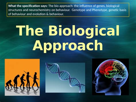 The Biological Approach 2 3 Full Lessons Teaching Resources