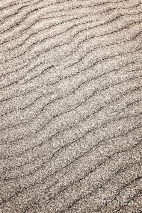 Sand Ripples Abstract Photograph By Elena Elisseeva