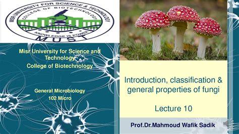 Solution Lecture 10 General Microbiology Fungi Studypool