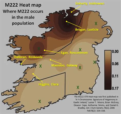 When Did R M222 First Appear In Inishowen Irish Origenes Use Your Dna To Rediscover Your