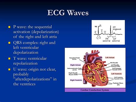 Ppt Ecg Filtering Powerpoint Presentation Free Download Id294928