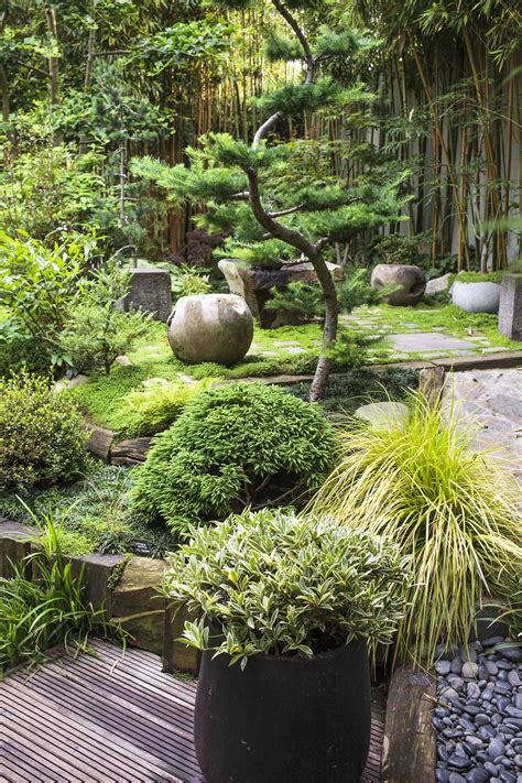 An Outdoor Garden With Rocks Plants And Trees In The Background On A