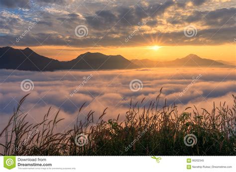 Landscape Misty View Fantastic Dreamy Sunrise On The Mountains Stock
