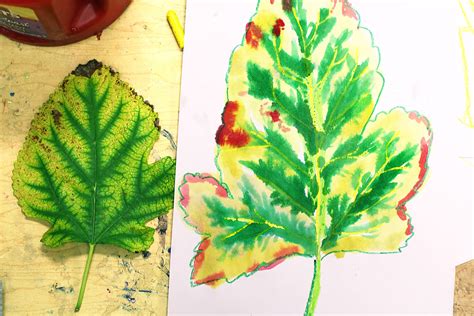 Smart Class Fall Leaves Crayon Resist Paintings