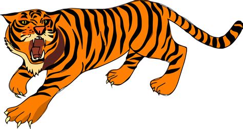 Tiger Roar Cartoon Drawing Tiger Free Clipart Png Download Large