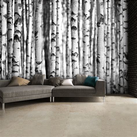 Black And White Birch Trees Wall Mural 315cm X 232cm