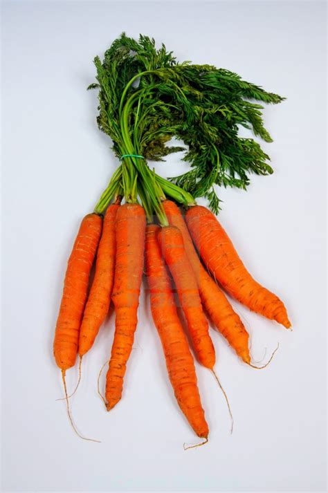 Bunched Carrots Minshulls