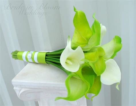 Dravenmastery Lime Green Flowers For Bouquets Green Apples And Lime