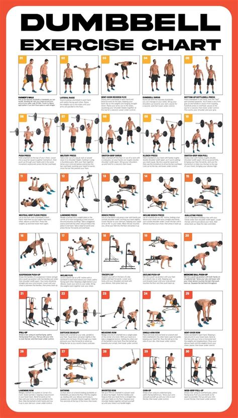 Printable Dumbbell Exercise Chart Dumbbell Workout Workout Posters