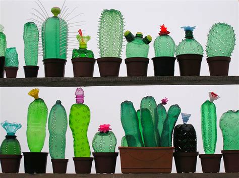 Plastic Bottle Cactus Inspiration By Artist Veronik