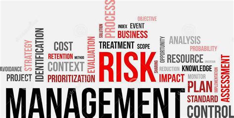 Ray Mancini Corporate Risk Assessment And Risk Management