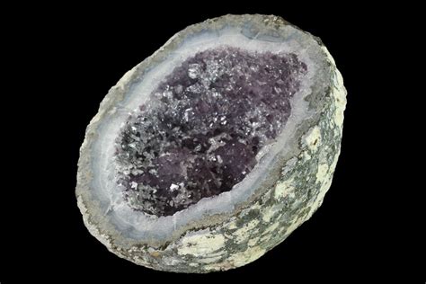 38 Las Choyas Coconut Geode Half With Amethyst And Calcite Mexico