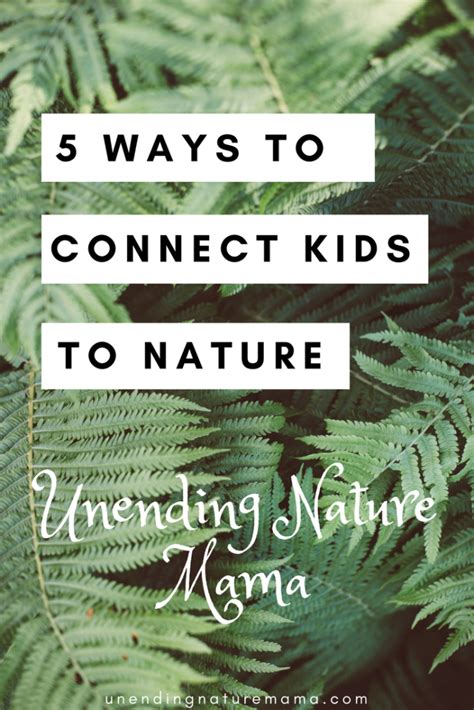 5 Ways To Connect Kids To Nature Nature Kids Nature Connection