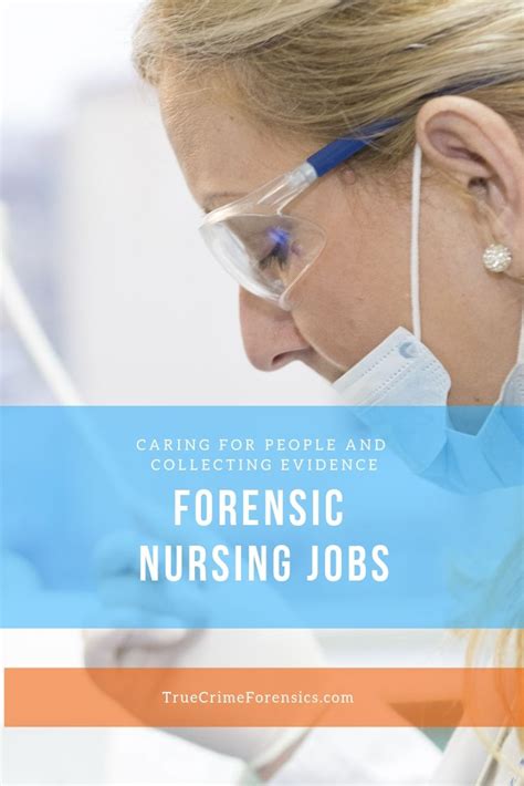 How To Be A Forensic Nurse Investigator Abiewrt