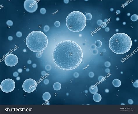 Cells Under A Microscope Stock Photo 90067999 Shutterstock