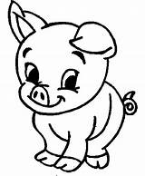 Coloring Pig Cute Baby Pages Animal Animals Printable Drawing Kids Sheets Template Print sketch template