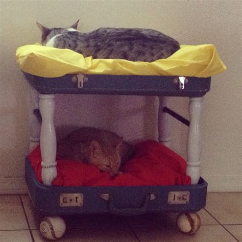 Suitcase Cat Bunk Bed Cat Bunk Beds Cat Stuff Plastic Laundry Basket
