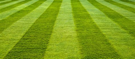 Whether you are a seasoned sportsperson or an event management company, you will get the right. 10 good lawn mowing tips - Lawntech