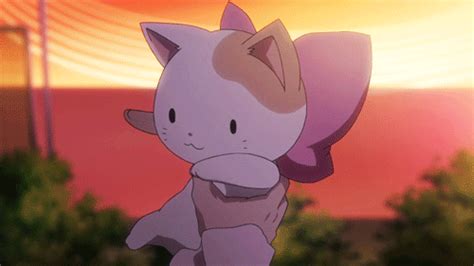 Anime Kitten Anime Cat  Wiffle