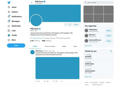 Twitter Layout Template