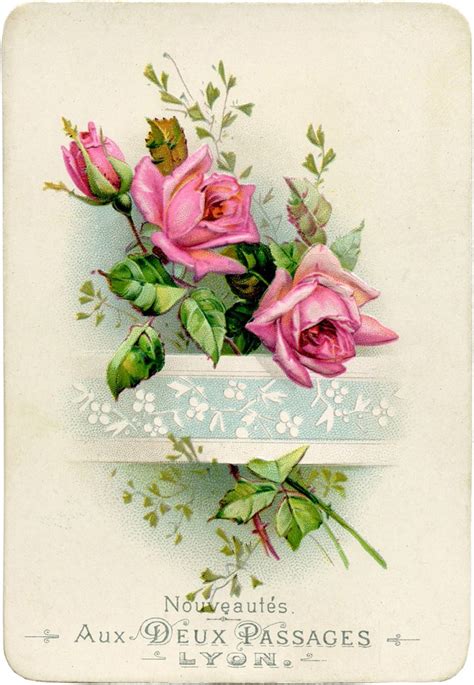 Vintage French Roses Image The Graphics Fairy