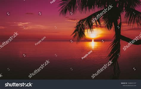 Background Purple Sunset Beach Wallpaper