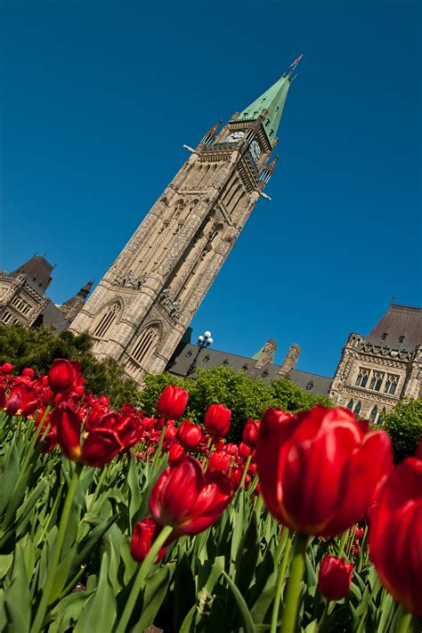Ottawa [Dossier] Tout savoir sur le PVT à Ottawa
